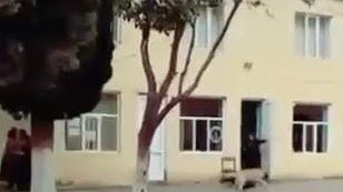 Məktəbin qarşısında it qadına hücum etdi