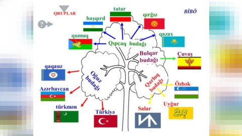 YUNESKO 15 dekabrı Türk Dili Ailəsi Günü elan edib