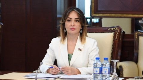 Kiber hücumlarla mübarizə strateji hədəflər sırasındadır