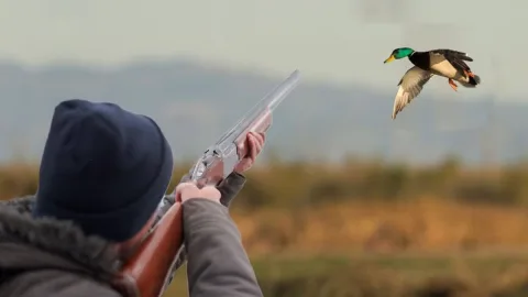Ov qaydalarını pozan əcnəbilər saxlanıldı