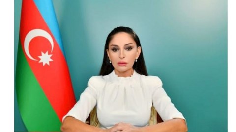 Mehriban Əliyeva&nbsp;Dövlət Bayrağı Günü münasibətilə paylaşım etdi