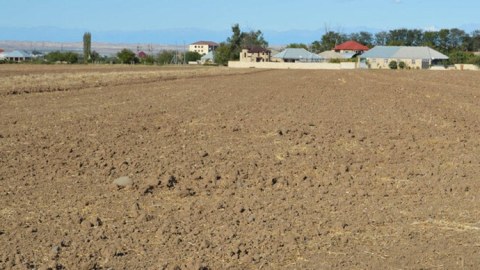 Torpaq bazarı&nbsp;daha şəffaf idarə olunmalıdır&nbsp;-&nbsp;DEPUTAT