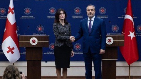 Təyyarə qəzasını müzakirə etdilər