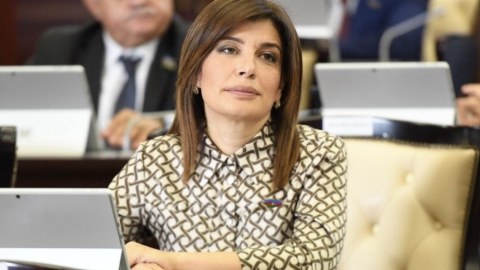Kinoya vəsaitin ayrılmaması narahatlıq doğurur - DEPUTAT