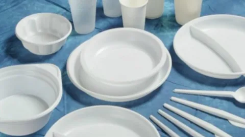 Gürcüstanda plastik qab-qacaq qadağan olunur