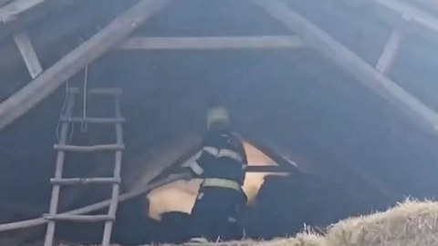 Qəbələdə tövlədə 10 ton ot bağlaması yandı - VİDEO
