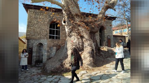 462 yaşlı xan çinar və ondan da qədim məscid - FOTO
