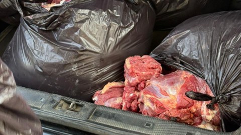 Bakıda 154 kq at ətini mal əti adı ilə satmaq istədilər - FOTOLAR