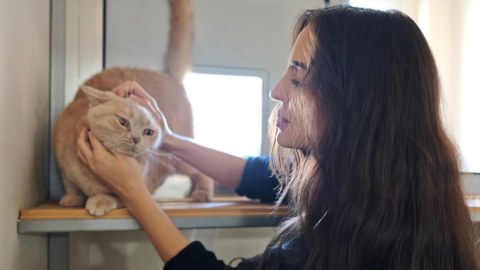Leyla Əliyeva IDEA Heyvanlara Qayğı Mərkəzində - FOTO