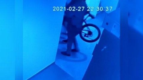 Sayğacları, skuter,&nbsp;velosiped oğurları&nbsp;SAXLANILDI