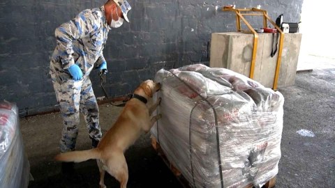 90 milyon dollarlıq heroin ABŞ-ın Azərbaycana verdiyi avadanlıqla aşkarlandı