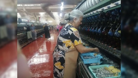 "Azəripək"in məhsuldarlığı iki dəfə artacaq