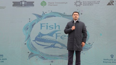Neftçalada balıq ətri, kulinariya şousu və su macərası - FOTO