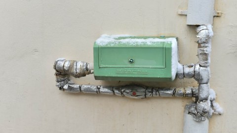 Su sayğaclarını şaxtadan necə qoruya bilərik? -&nbsp;FOTOLAR