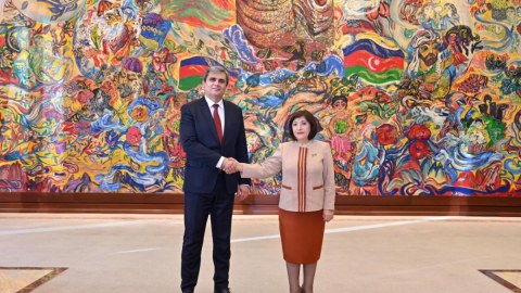 Sahibə Qafarova Monteneqro XİN rəhbəri ilə görüşdü - FOTO