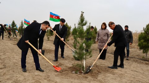 Samuxda növbəti ağacəkmə aksiyası keçirilib - FOTOLAR&nbsp;&nbsp;