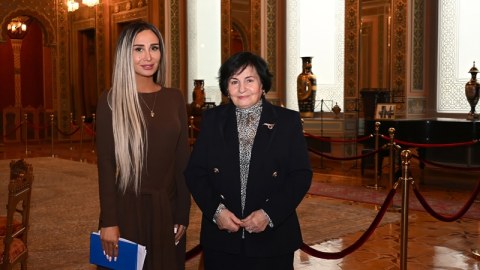 "Prezidentin çıxışı tarixçilərin&nbsp;qarşısına ciddi vəzifələr qoyub" -&nbsp;Nailə Vəlixanlı