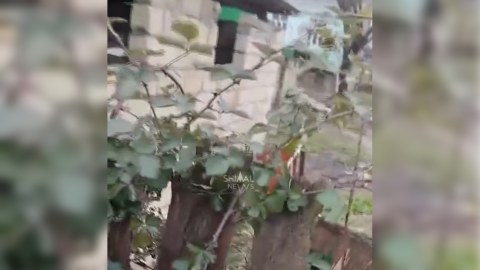 Ev sahibini öldürüb üstündə it damı tikdi - Xaçmazda dəhşət