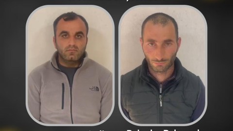 Ağsuda mal-qara oğurları TUTULDU