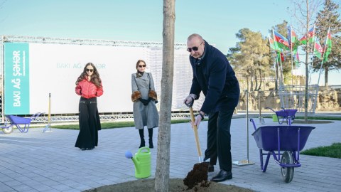 Yeni parkdakı ilk palıd ağacını Prezident əkdi - GÖRÜNTÜLƏR
