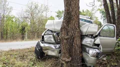 Avtomobil ağaca çırpıldı, sürücü öldü