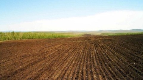 Azərbaycanda növbəti torpaq hərracları keçiriləcək