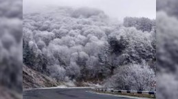 Qədim Azərbaycan kəndində 37 dərəcə şaxta qeydə alınıb