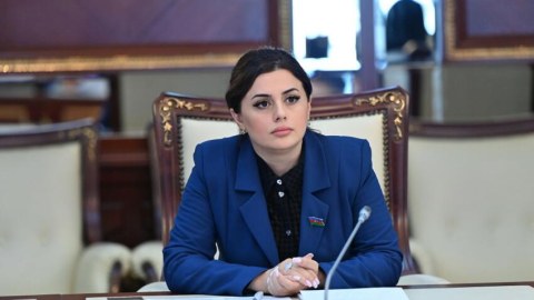 Bərpa olunan enerji prioritetdir: investisiyalar, vergi güzəştləri və yeni stansiyalar