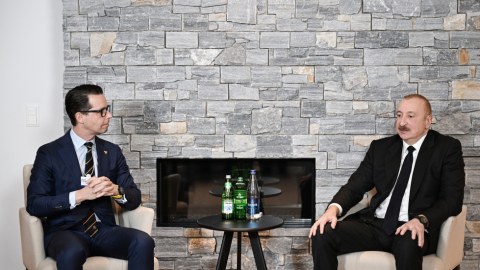 Prezident&nbsp;&ldquo;Carlsberg Group&rdquo; şirkətinin Baş icraçı direktoru ilə görüşdü&nbsp;