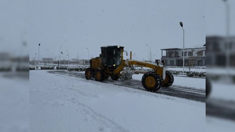 Zəngilan və Cəbrayılda qartəmizləmə işləri görülür - Dövlət Xidməti