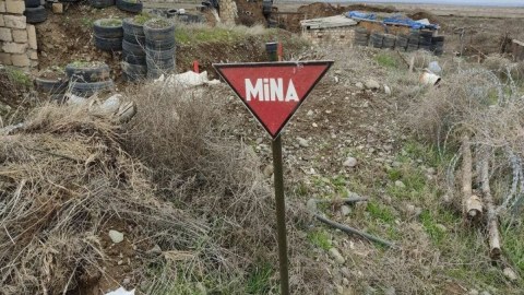 Mina qurbanlarının sayı açıqlandı