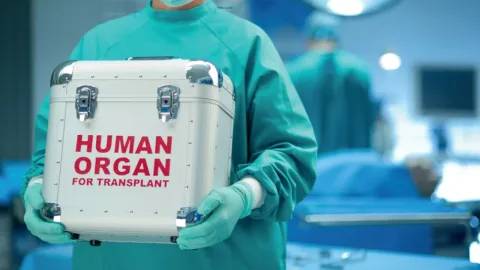 Transplantasiya əməliyyatlarına ehtiyac azalacaq