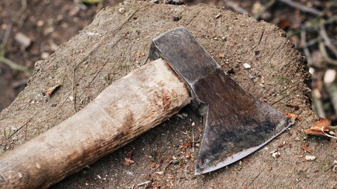 Prokurorluq qardaşı uşaqlarını baltalayan əminin ölümünü araşdırır