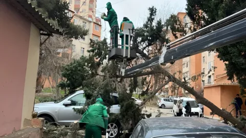 Güclü külək nə qədər maşın və evə ziyan vurub? - Ödənilən məbləğlər məlum oldu