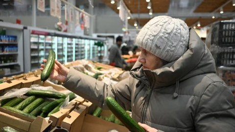 Rusiyada xiyarın qiyməti narazılığa səbəb oldu