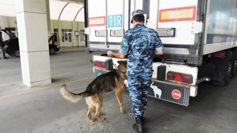 TIR-dan 63 kq narkotik çıxdı, atam günahsız yerə həbsdədir