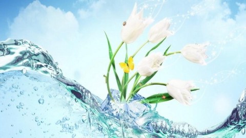 Su Çərşənbəsi&nbsp;bölgələrdə necə qeyd olunur? &ndash; MARAQLI