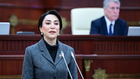 Ombudsman hesabat verəcək