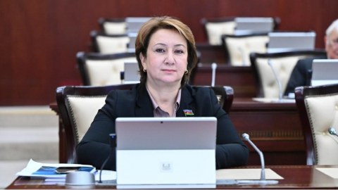 Qlobal çağırışlar fonunda Azərbaycanın enerji strategiyası&nbsp;&nbsp;