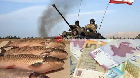 Bakının balıq bazarında qiymət kəllə-çarxa qalxdı -&nbsp;SƏBƏB&nbsp;