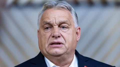 Avropada xaos hökm sürür - Orban
