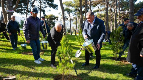 Xətaidə&nbsp;icra başçısı ilə deputat ağac əkdilər - FOTOLAR