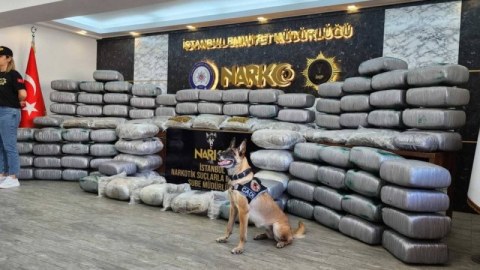 İstanbulda yarım tondan çox narkotik maddə aşkarlandı