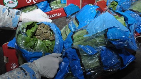 "Kahı" yükünün içərisində 56 kqmarixuana aşkarlandı