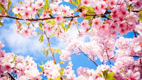 Temperatur 20 dərəcəyədək artacaq - Hava proqnozu