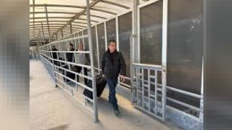 İrandan Azərbaycana təxliyə edilənlərin sayı açıqlandı