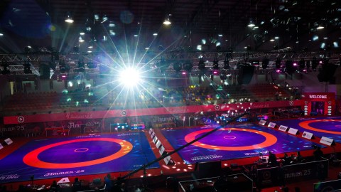 Avropa çempionatında 13 medal qazandıq