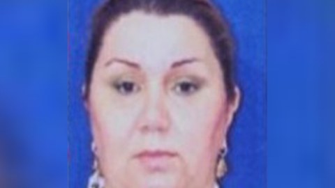 Sevinc Hüseynova Azərbaycana ekstradisiya edildi