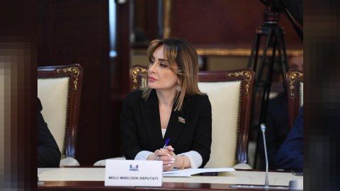 Süni intellekt müraciətlərin daha səmərəli idarəsinə imkan verəcək - DEPUTAT