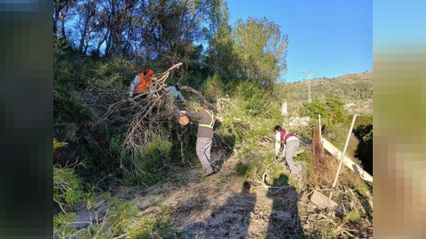 Bu hallarda kolların kəsilməsinə görə icazə istənilməyəcək